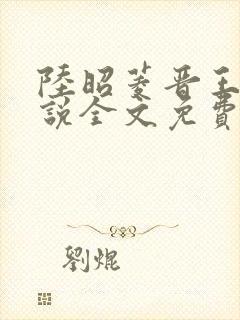 陆昭菱晋王的小说全文免费阅读