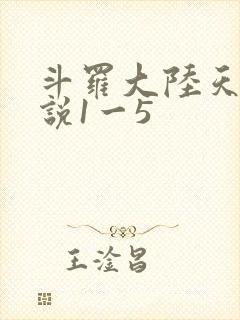 斗罗大陆天狂传说1一5