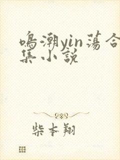 鸣潮yin荡合集小说