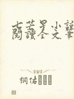 七芒星小说免费阅读全文笔趣阁