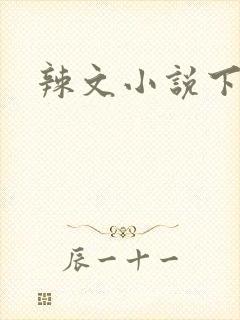 辣文小说下载