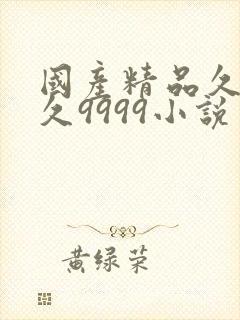 国产精品久久久久9999小说