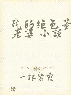 我的绝色董事长老婆 小说