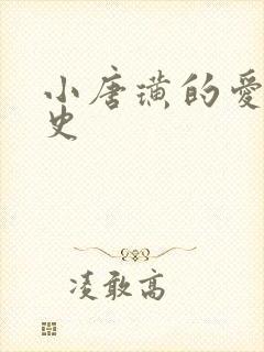 小唐璜的爱情历史