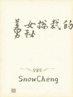 美女总裁的贴身男秘