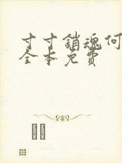 寸寸销魂何生祥全本免费