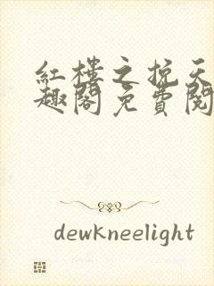 红楼之挽天倾笔趣阁免费阅读