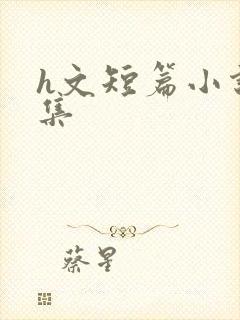 h文短篇小说合集