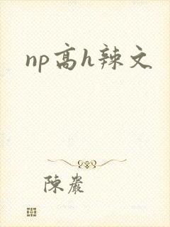 np高h辣文
