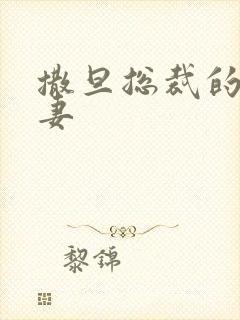 撒旦总裁的下堂妻