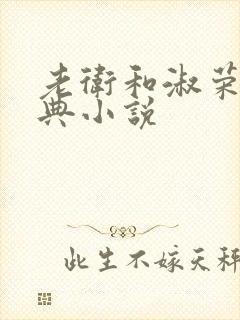 老卫和淑荣的经典小说