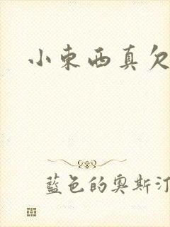 小东西真欠弄