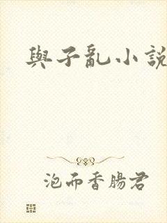 与子乱小说