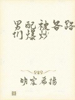 男配被各路大佬们爆炒