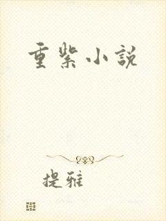 重紫小说
