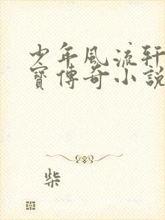 少年风流轩辕大宝传奇小说