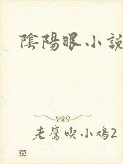 阴阳眼小说