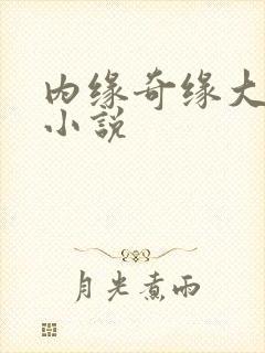 内缘奇缘大团圆小说