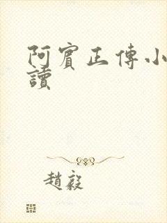 阿宾正传小说在读