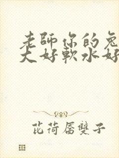 老师你的兔子好大好软水好多