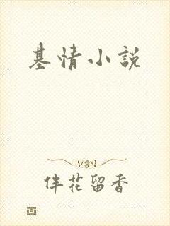 基情小说