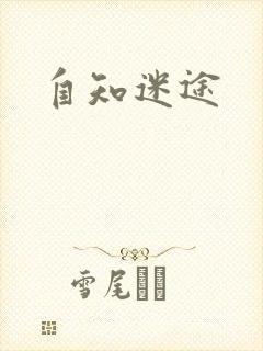 自知迷途
