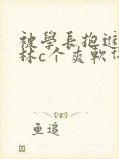 被学长抱进小树林c个爽软件