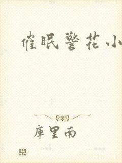 催眠警花小说