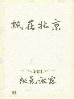 飘在北京
