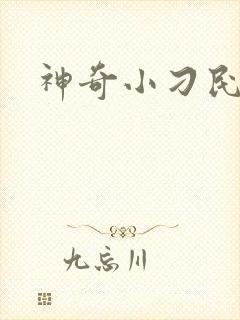神奇小刁民