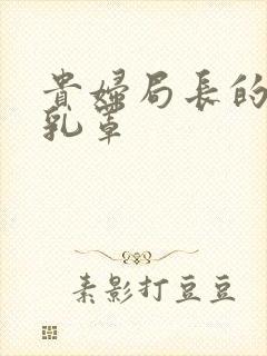 贵妇局长的蕾丝乳罩