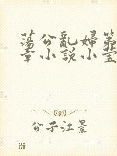 荡公乱妇第51章小说小莹