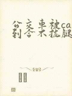 公交车被cao到合不拢腿视频