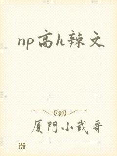 np高h辣文