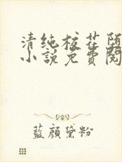 清纯校花堕落记小说免费阅读