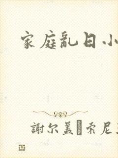 家庭乱日小说