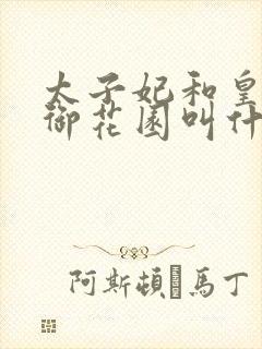 太子妃和皇帝在御花园叫什么小说