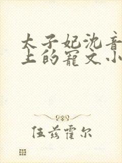 太子妃沈音和皇上的宠文小说