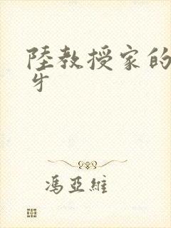 陆教授家的小月牙