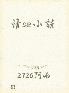情se小说