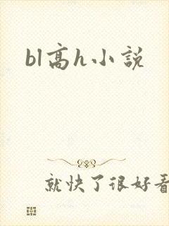 bl高h小说