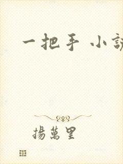 一把手 小说