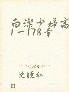白洁少妇高义第1一178章