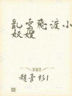 乱云飞渡小说之姣嫂