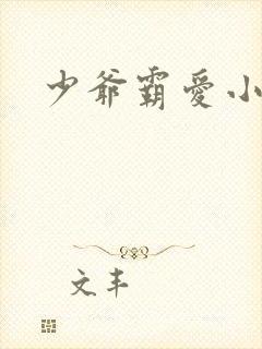 少爷霸爱小丫头