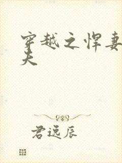 穿越之悍妻共三夫