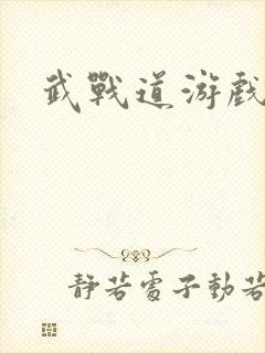 武战道游戏