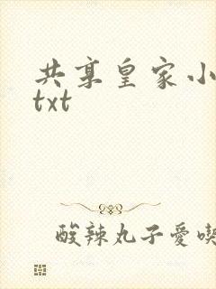 共享皇家小公主txt