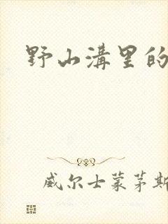 野山沟里的村庄