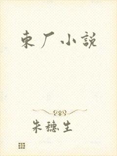 东厂小说